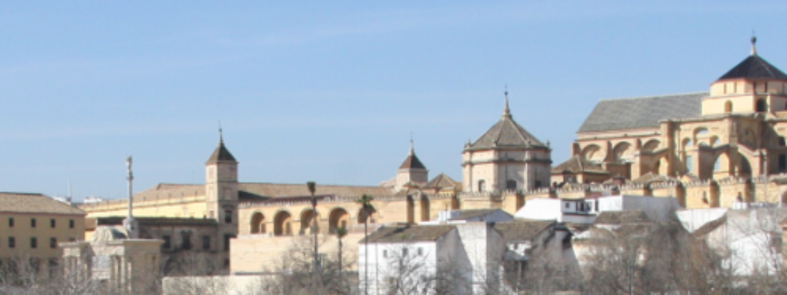 The Ultimate Guide to Choosing a Study Abroad Program
