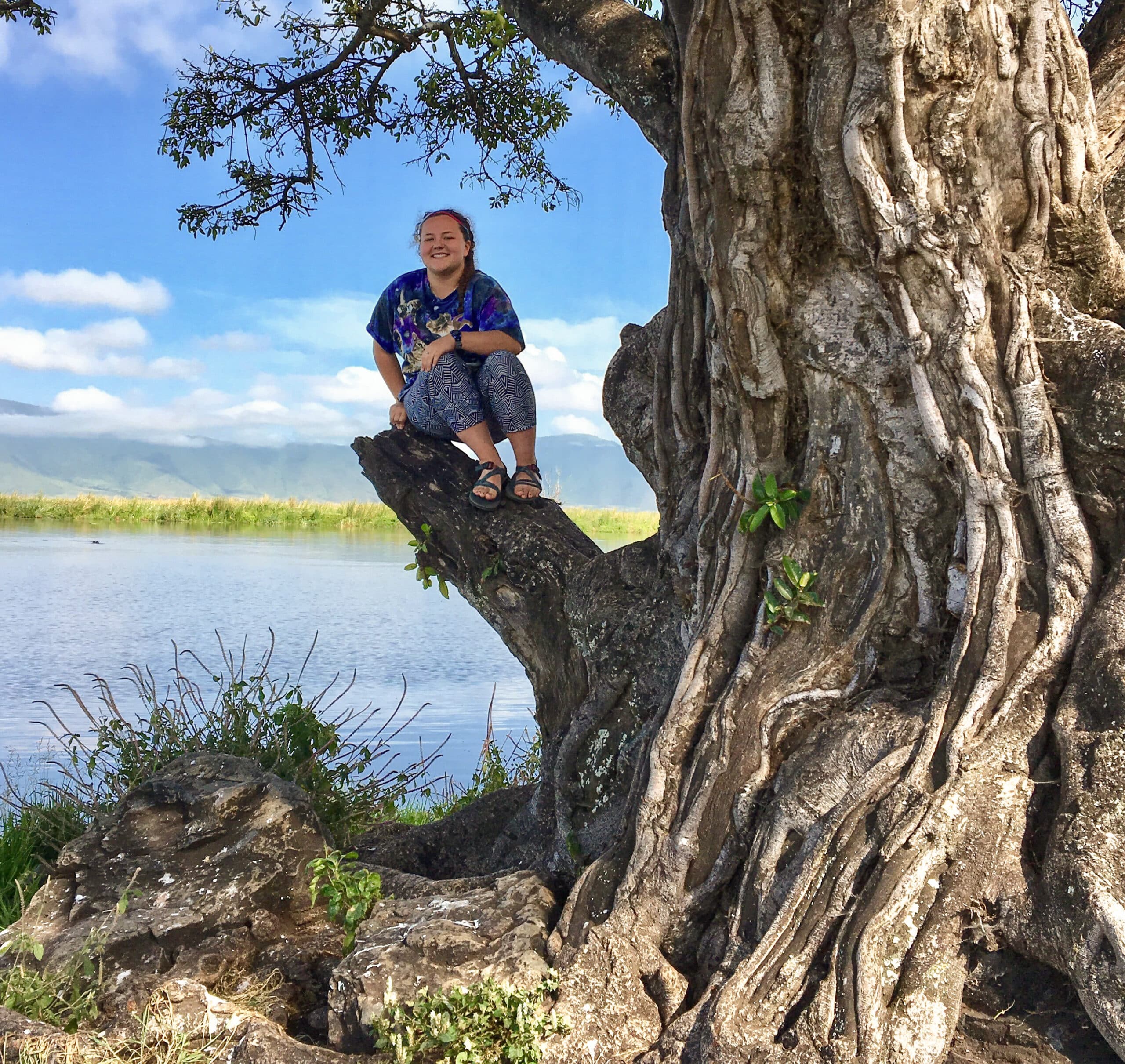 A woman sitting on the branch of a sturdy tree