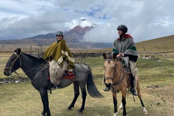 Two interns on their horses out in the field.
