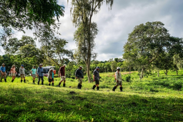 A group walks in a line as they embark on a scenic walk through nature together.