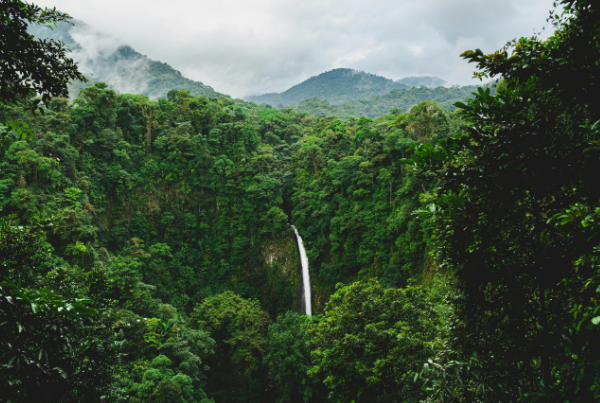A Costa Rican waterfall flows in the distance against a mountainous rainforest backdrop.