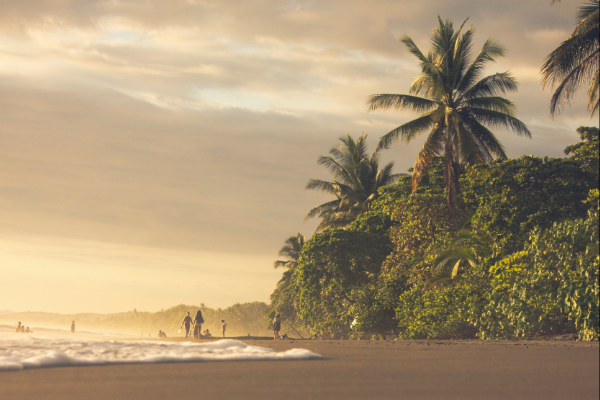 Water runs up a tropical beach in Costa Rica at sunset