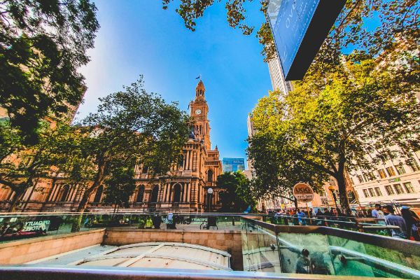 in-text image 1 Building near trees