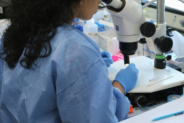 person looking through microscope