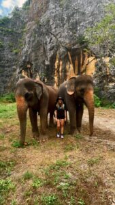 A woman standing between two elephants.